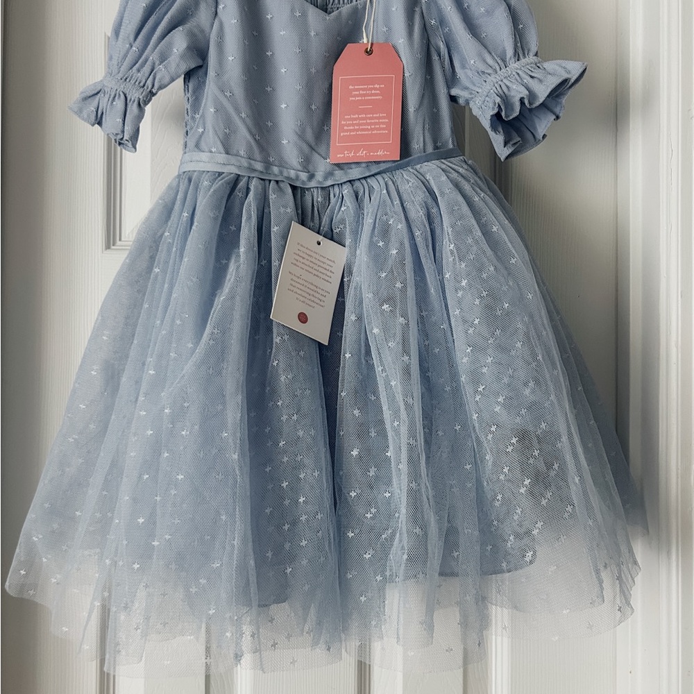 Ivy City Co. Blue Tulle Dress